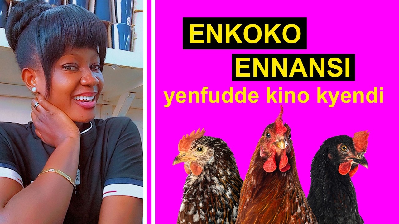 Lunda enkoko ennansi, oyoole ssente
