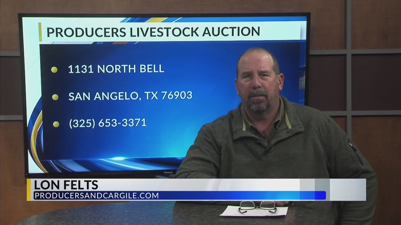 Producers Livestock Auction Report YouTube