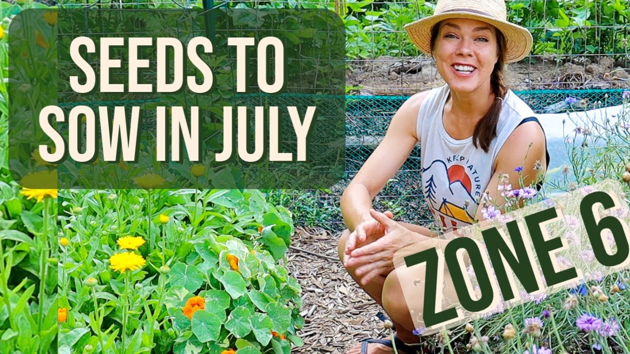 Vegetable Seeds To Plant In July Zone 6 YouTube