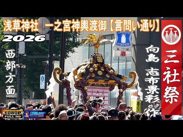 令和8年 浅草神社 例大祭 三社祭 【本社一之宮神輿西部方面巡行