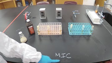 Minimal Inhibitory Concentration (MIC) and Minimum Bactericidal Concentration (MBC) - Microbiology