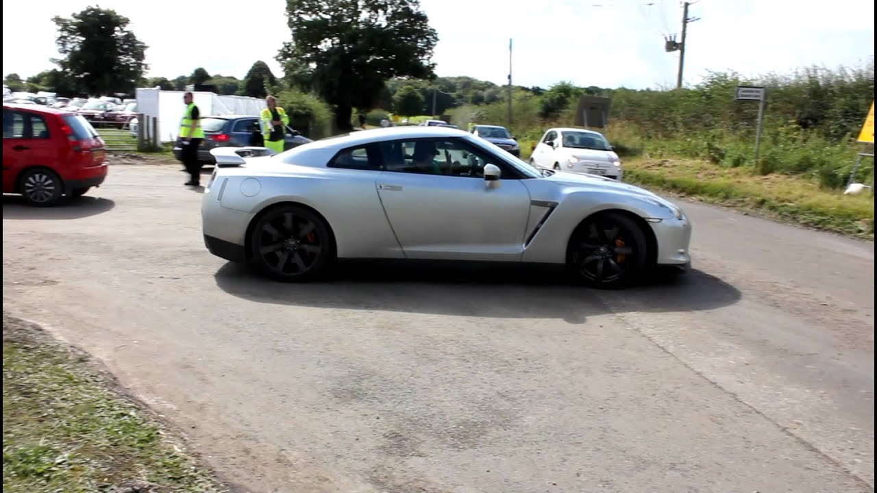 Sporting Bears Dream Rides