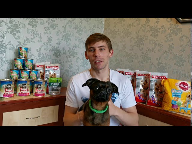 Dobby Dog 5. Как правильно кормить собаку. Рацион питания. Что собакам кушать запрещено.