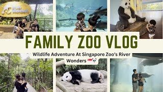 Unforgettable Family Day at Singapore Zoo's River Wonders | Zoo Vlog: Baby's Wildlife Adventure! 🐢🐼🦜 by Sandra Faustina 33 views 2 months ago 4 minutes, 24 seconds