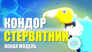 🐤КОНДОР СТЕРВЯТНИК Новая Модель 2023 Семья Птиц Роблокс 🐤Roblox Feather Family CONDOR VULTURE