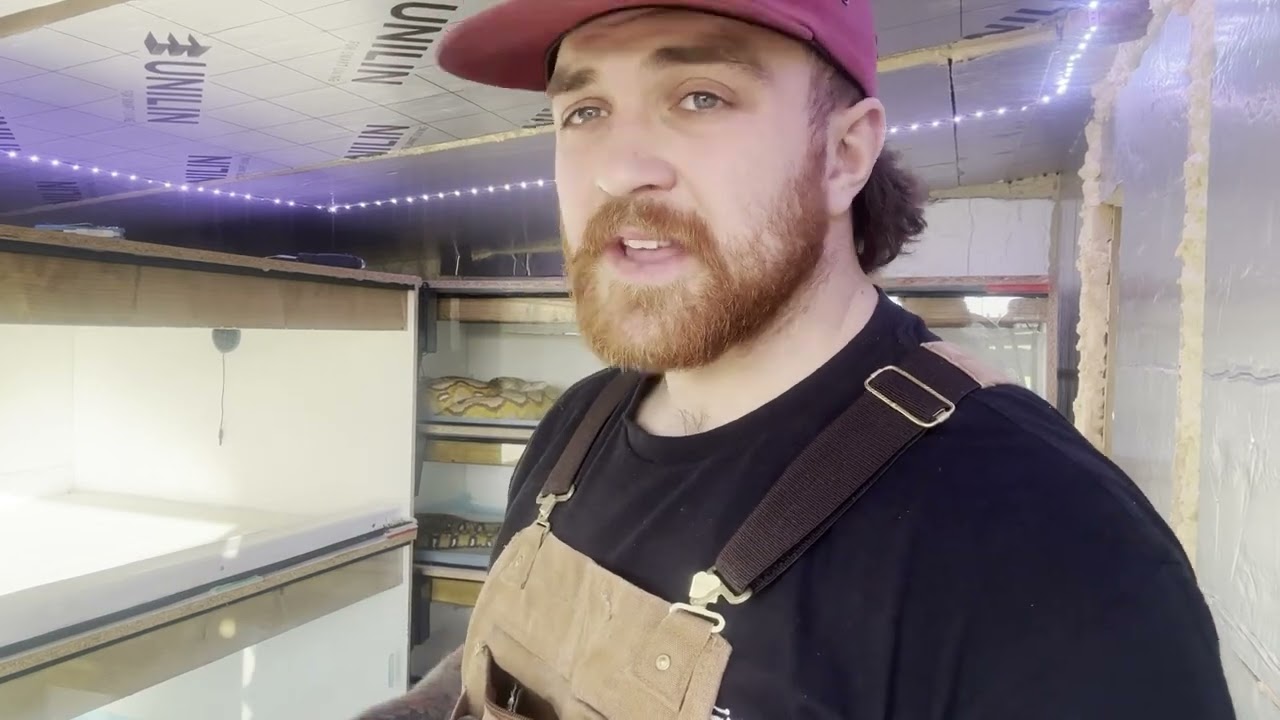 Retic breeding updates + new additions 