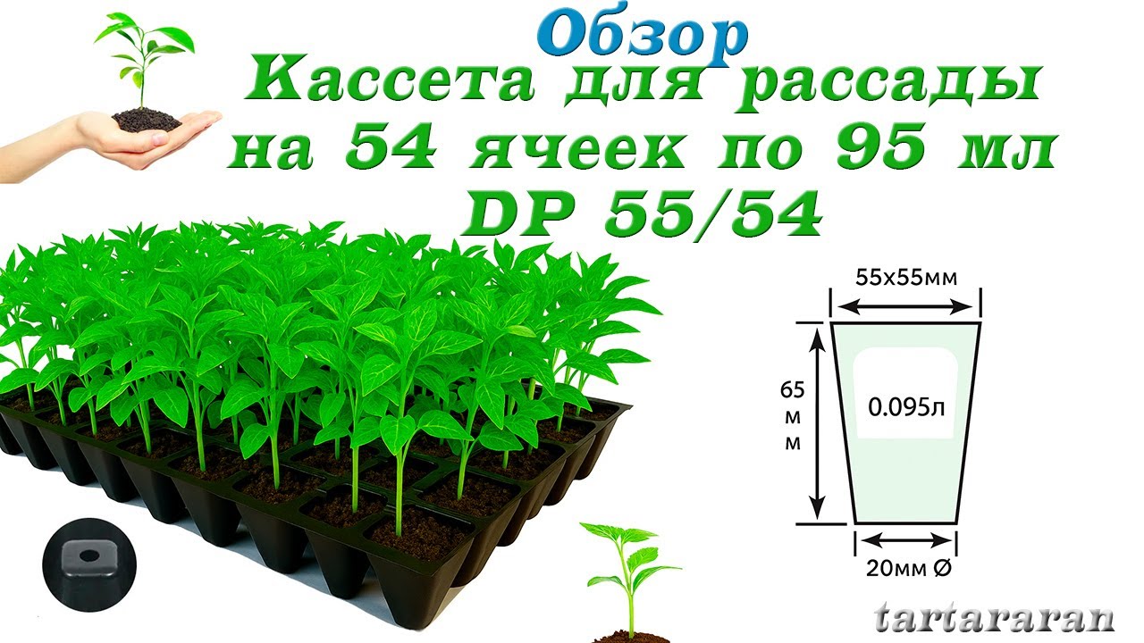 Кассеты для рассады на 54 ячеек по 95 мл (DP 55/54) ​​, поддон для рассады 40*60 см DPT5.