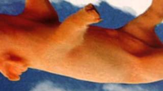 Watch Didjits Spicy Little Outfit video