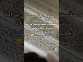 عجبوني عينك الكبار