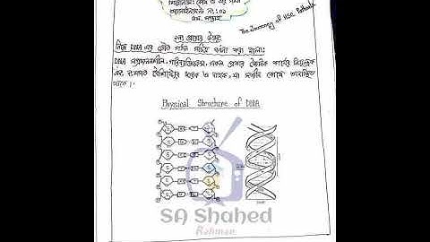 HSC 2022 Biology Assignment 5th week