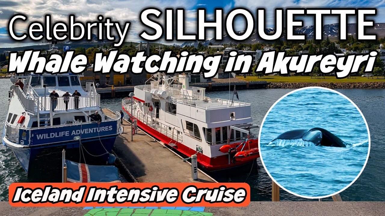 Celebrity Silhouette | Our Port Day in AKUREYRI! | Iceland Intensive Cruise