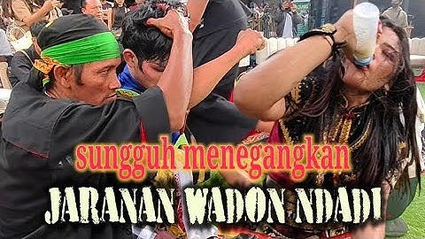 Jaranan Wadon Ndadi Bin Kesurupan Di Ajang Pameran Banjoewangi Tempo Doeloe