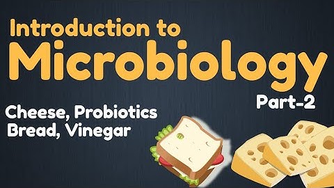Introduction To Microbiology Class 10 | Cheese | Probiotics | Bread | Vinegar