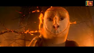 Legend of the Guardians – Soren vs Kludd (Sinhala)