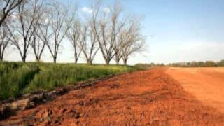 George Walburn's Footscorchers - Dixie Flyer