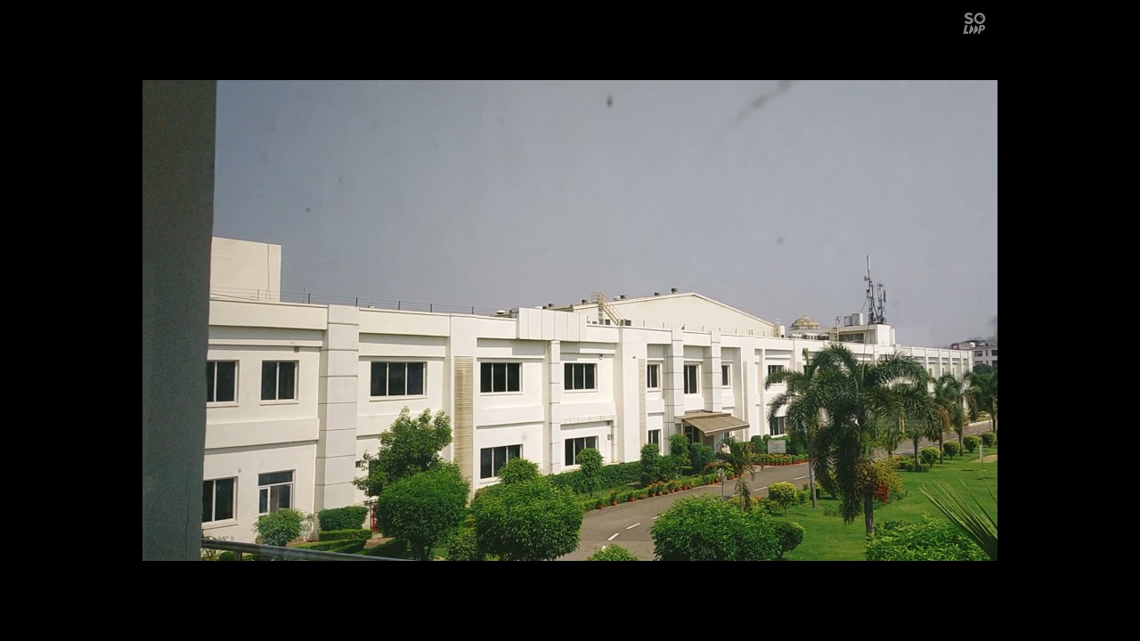 hero plants Haridwar Uttarakhand ka back ground 🔥🔥🔥🔥