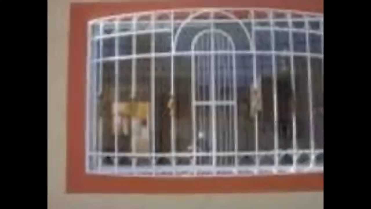 Rejas de hierro Ventanas de hierro, Diseños de verjas Rejas de hierro Ventanas de hierro, Diseños de verjas