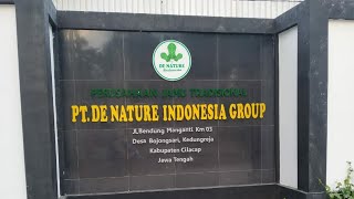 Obat Wasir BAB Darah Ambeyen Benjolan Anus Parah Herbal De Nature Indonesia