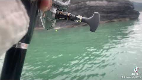 Câu iso Tráp đảo Cát Ông ( Cát Bà ) Hải Phòng