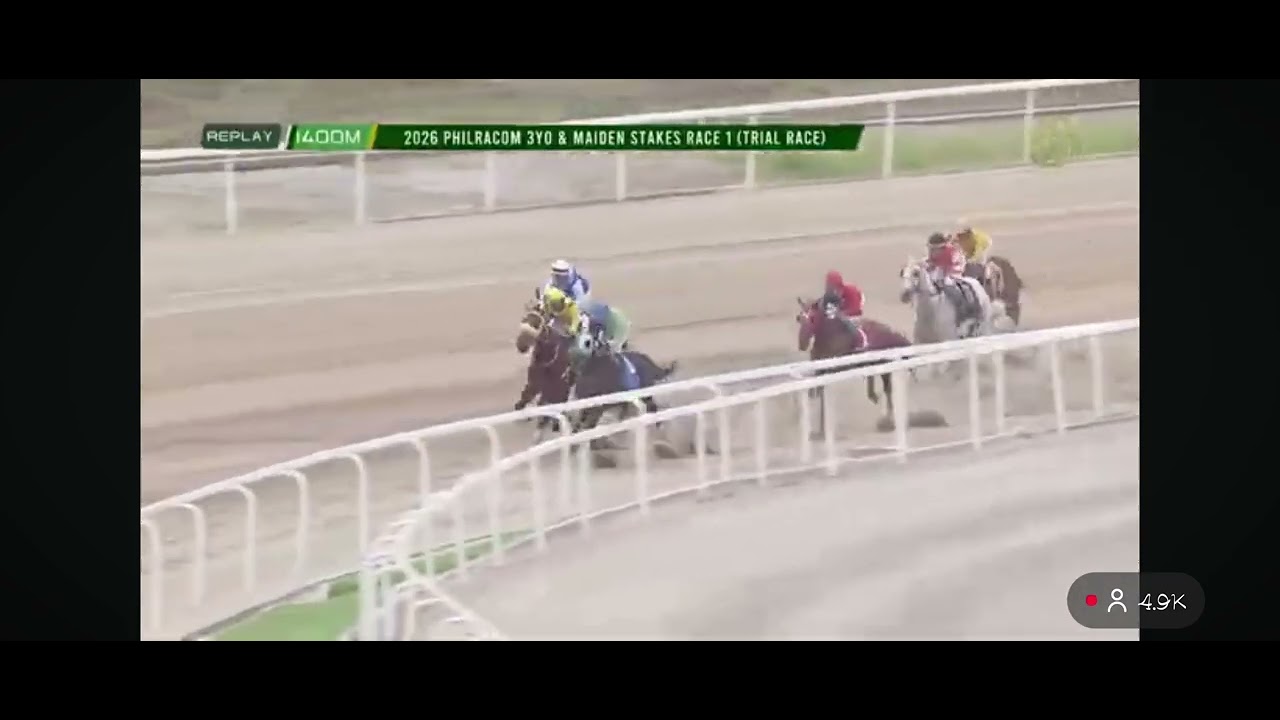 Audibell/diamante/candy bell/black phanter