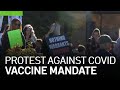 Parents Protest California COVID-19 Vaccine Mandate for Kids