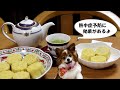ひんやり爽やかな緑豆糕のレシピ