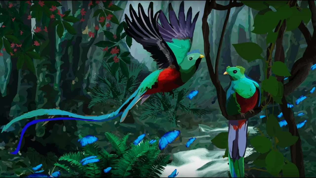 Bernard Col - Cécile Prunet - Le pays des arbres - Playback des chansons