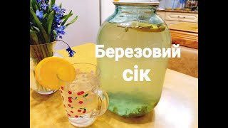 Приготування березового соку.Смачний, рецепт, для вас.