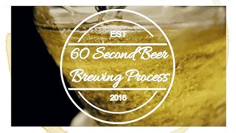 Beer Brewing Process Explained in 60 Seconds
