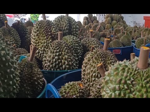 Video: Durian - Thai Ya Kigeni