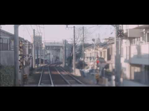 개화 (Flowering) - LUCY