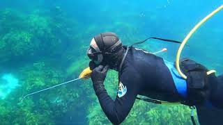 Hookah diving for crays - Rottnest Island