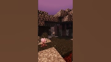 shaders on a low end device #minecraft #fypシ゚viral #fyp #shaders #palegarden