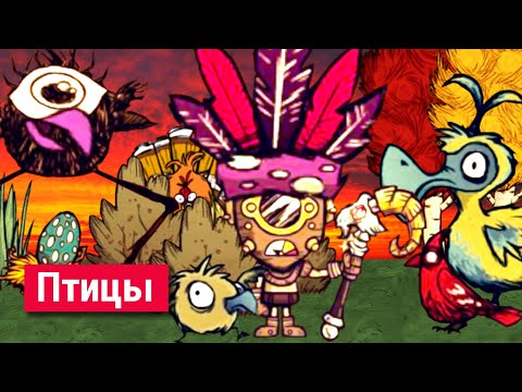 Видео: Всё о Птицах в Don't Starve.