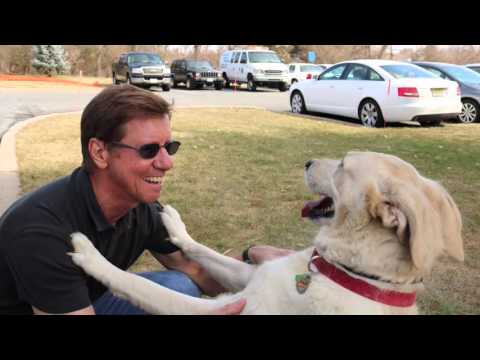 वीडियो: सप्ताह के अनुकूल कुत्ते - स्पाइक