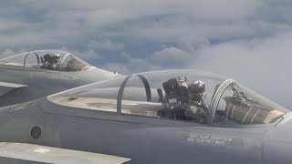 Eagle Passive Active Warning Survivability System (EPAWSS) l BAE Systems