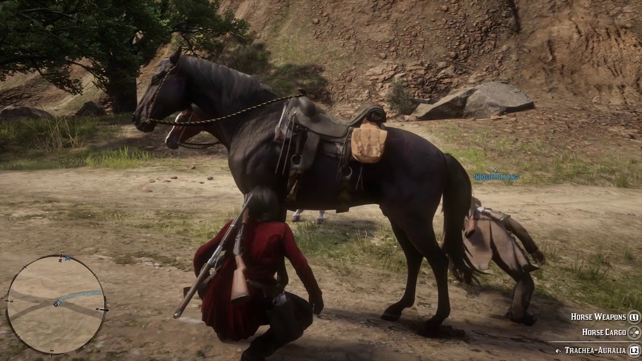 Red Dead Online Horse Gender Bug YouTube