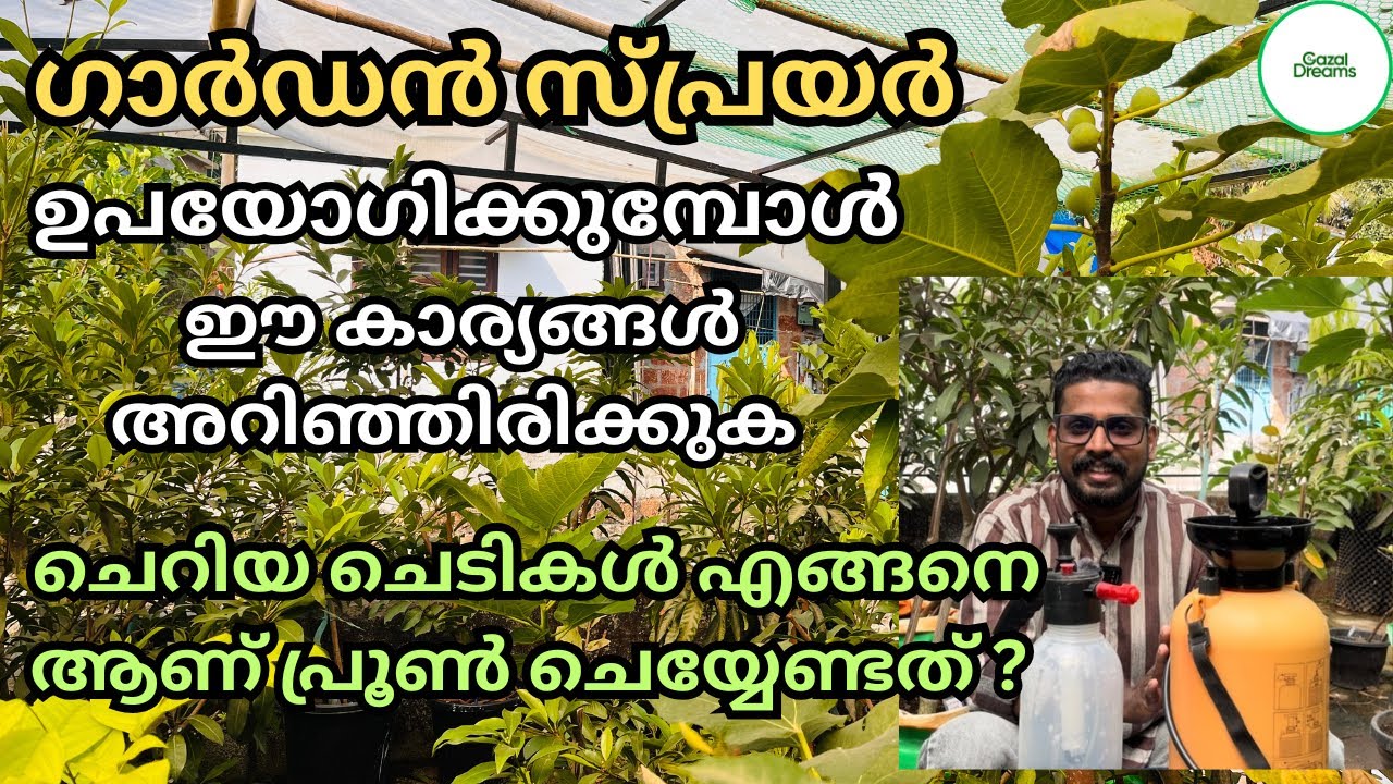 കൃഷിയിൽ സ്പ്രയർ പമ്പ് ഉപയോഗിക്കുമ്പോൾ ഈ കാര്യങ്ങൾ അറിഞ്ഞിരിക്കുക | How to use a Garden sprayer