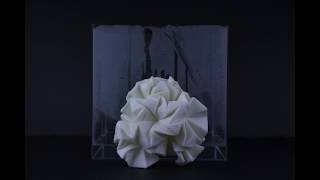 Shape Memory Polymer (SMP filament) (Eri Isono)