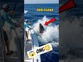 SHARK Jumps Into The Boat! 😱 SCARIEST Moment Caught on Camera #Shorts #Shark #Fishing #Viral