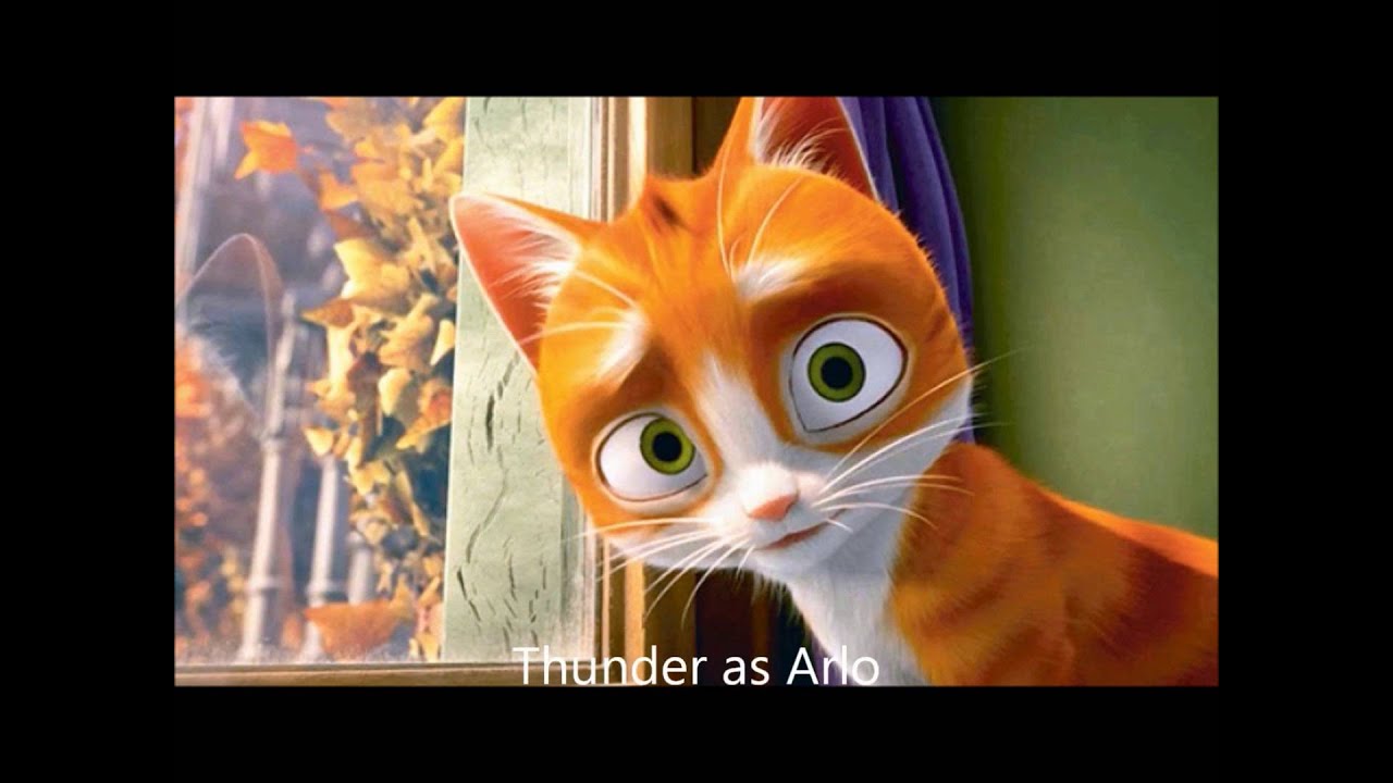 The Good Cat YouTube