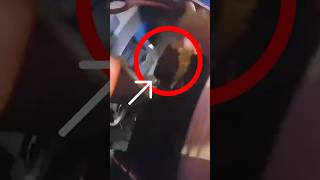 Crazy PEPPER SPRAY Drama! Bodycam Catches Officer Out of Control