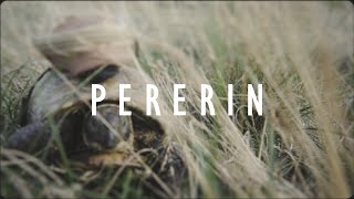 Download Lagu Cesair - Pererin (Official Music Video) MP3 Download Lagu Cesair - Pererin (Official Music Video) MP3