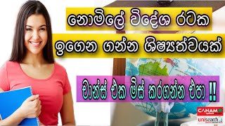 How to Get Free Scholarship for Foreign University | පහසුවෙන් ම විදෙස් ශිෂ්‍යත්වයක් ලාබා ගන්න ආකාරය