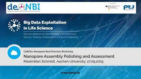 Nanopore Assembly Polishing and Assessment