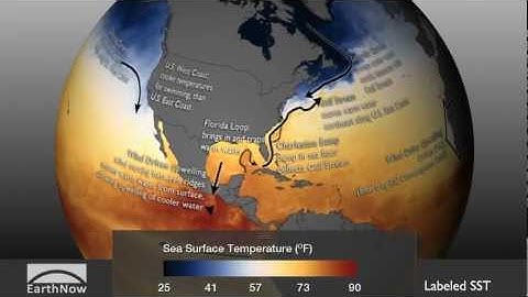 New Sea Surface Temperature Dataset with Labels