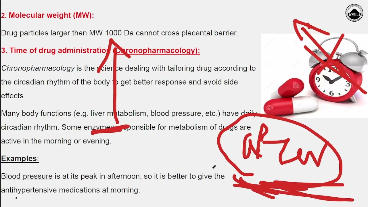 Pharmacology course | lecture 3 | pharmacolodynamics part 3 | KSIU