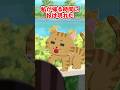 【2ch】実家の2代目猫は不思議な猫だった…【アニマル】 #Shorts