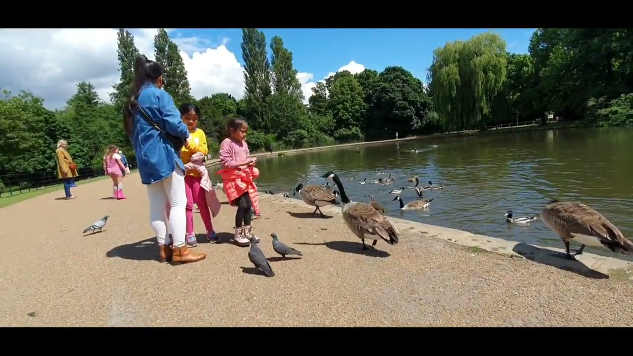 Osterley Park & House || Family Wildlife Adventure in Osterley Park & House #wildlifefamilyadventure
