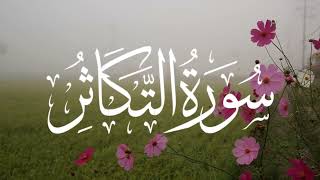 Surah Al-Takasur Summary | Surah Takasur Meaning #quranrecitation #qurantafseer #quran